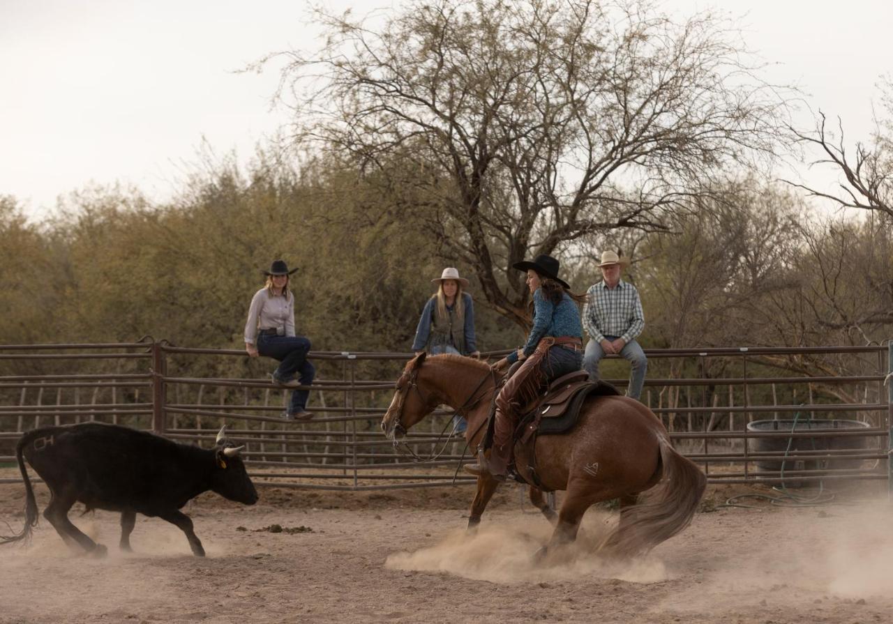 Hotel Kay El Bar Guest Ranch Wickenburg Zewnętrze zdjęcie